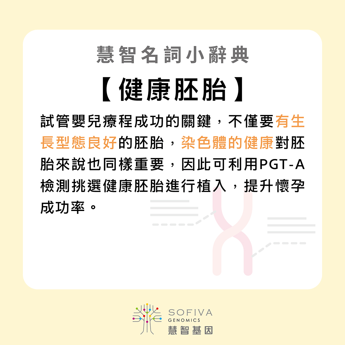 健康胚胎