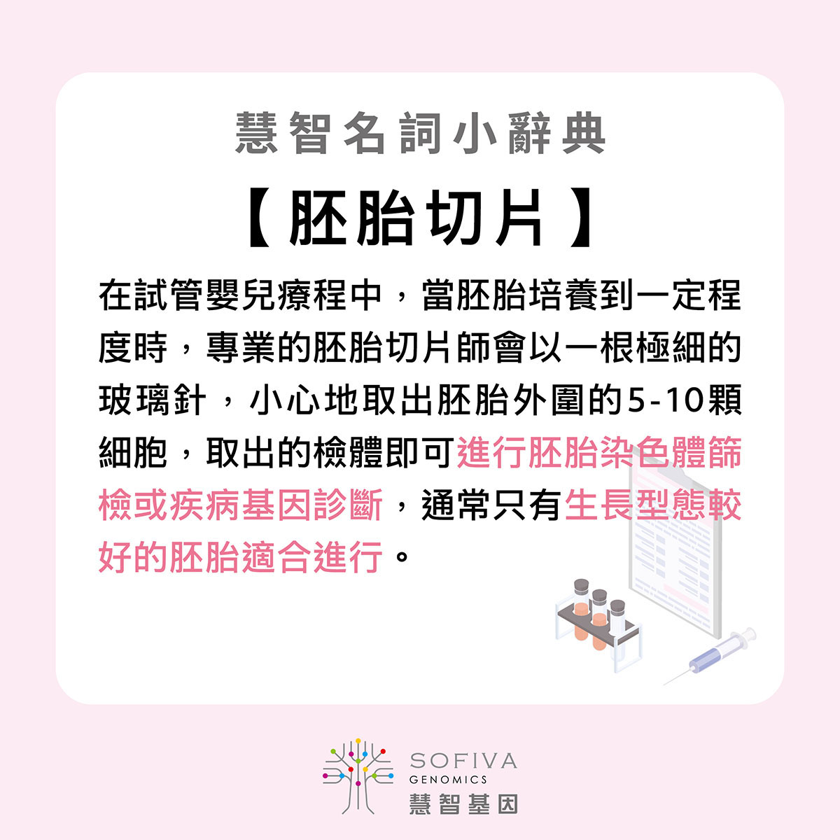 胚胎切片